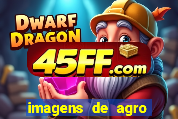 imagens de agro racoes guarani